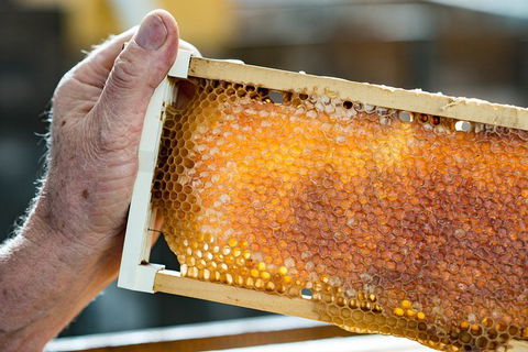 Fine Flavours - Full Day Kangaroo Island Food & Wine Tour - Tourism Canberra 0