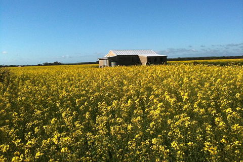 Fine Flavours - Full Day Kangaroo Island Food & Wine Tour - Tourism Canberra 11