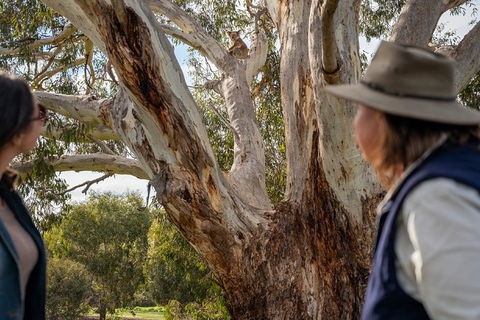 NEW TOUR - Kangaroo Island Road To Recovery Tour (1 Day/1 Night) - Tourism Canberra 2