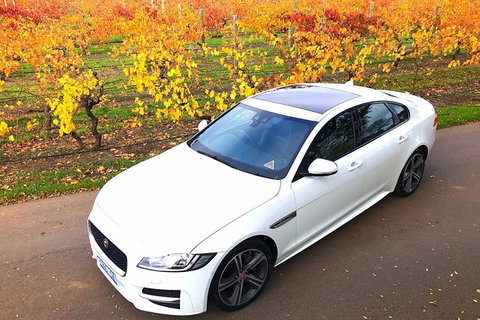 Luxury Jaguar Barossa Valley Half Day Private Tour For 2 - Tourism Canberra 2
