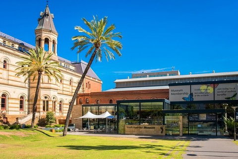 Departure Private Transfers: Adelaide To Adelaide Airport ADL In Business Car - Tourism Canberra 6