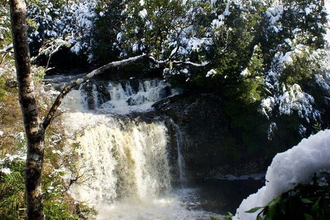 Cradle Mountain Park Explorer - Tourism Canberra 1