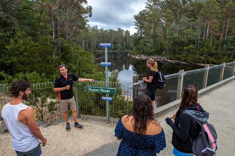 Tahune Airwalk Active Day Trip From Hobart Including Hastings Caves - Tourism Canberra 3