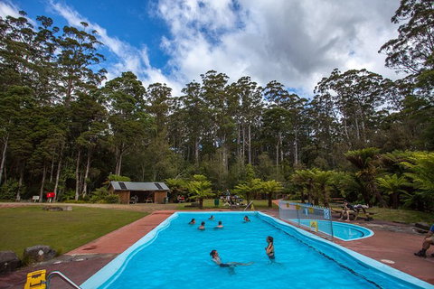 Tahune Airwalk Active Day Trip From Hobart Including Hastings Caves - Tourism Canberra 2