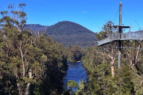 Tahune Airwalk Active Day Trip From Hobart Including Hastings Caves - Tourism Canberra 6