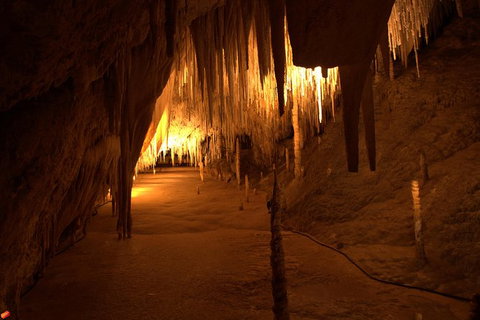 Tahune Airwalk Active Day Trip From Hobart Including Hastings Caves - Tourism Canberra 8