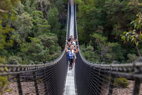 Tahune Airwalk Active Day Trip From Hobart Including Hastings Caves - Tourism Canberra 0