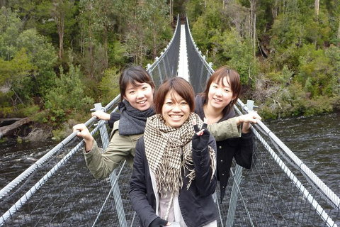 Tahune Airwalk Active Day Trip From Hobart Including Hastings Caves - Tourism Canberra 7