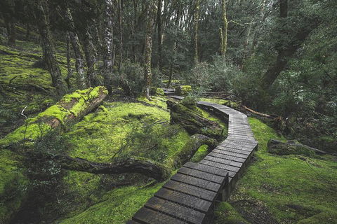 Shore Excursion - Cradle Mountain Day Tour From Burnie - Tourism Canberra 2