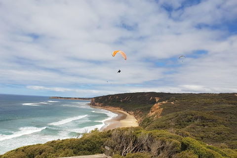 Private Great Ocean Road Day Trip From Melbourne - Tourism Canberra 2