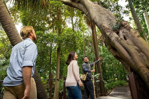 Aboriginal Heritage Walk - Royal Botanic Gardens Victoria, Melbourne Gardens - Tourism Canberra 1