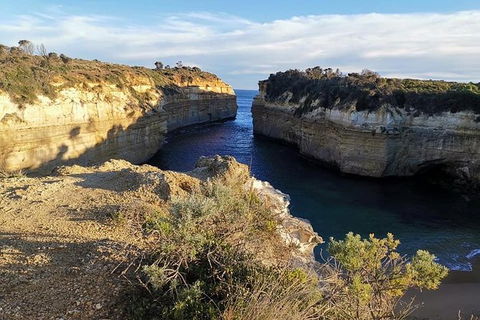 Melbourne Combo: Half-Day Sightseeing Tour And Great Ocean Road Day Trip - Tourism Canberra 4