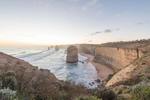 PRIVATE Great Ocean Road Tour And 12 Apostles With Wildlife Spotting - Tourism Canberra 0