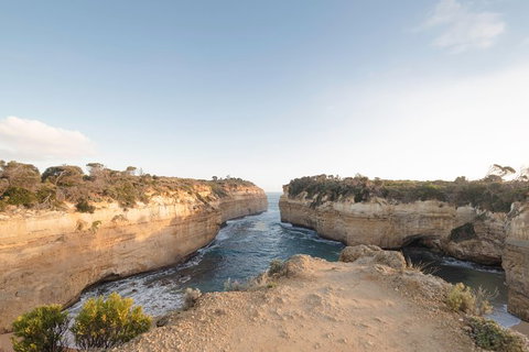 PRIVATE Great Ocean Road Tour And 12 Apostles With Wildlife Spotting - Tourism Canberra 1