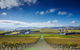 Yarra Valley Wine And Wildlife Self-Driving Tour - thumb 4