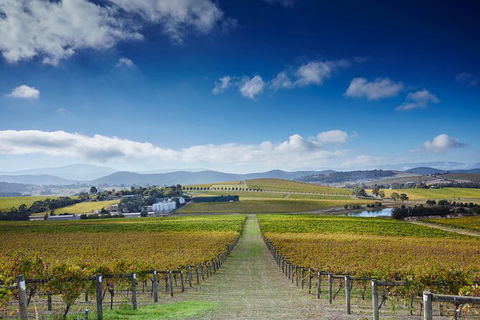 Yarra Valley Wine And Wildlife Self-Driving Tour - Tourism Canberra 4