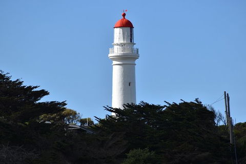 Great Ocean Road Tour Plus Koalas, Forest Walk And Morning Tea. - Tourism Canberra 1