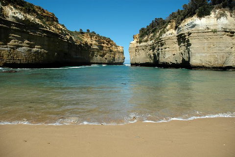 Great Ocean Road Tour Plus Koalas, Forest Walk And Morning Tea. - Tourism Canberra 4