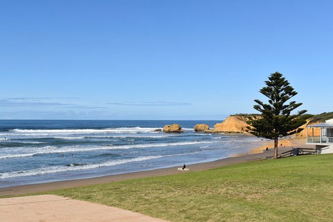 Great Ocean Road Tour Plus Koalas, Forest Walk And Morning Tea. - Tourism Canberra 3