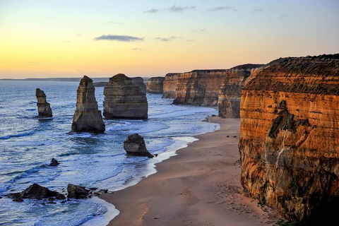 Great Ocean Road Tour Plus Koalas, Forest Walk And Morning Tea. - Tourism Canberra 0