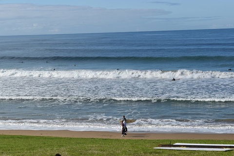 Great Ocean Road Tour Plus Koalas, Forest Walk And Morning Tea. - Tourism Canberra 9