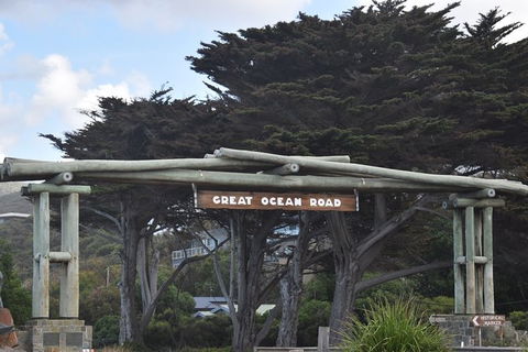 Great Ocean Road Tour Plus Koalas, Forest Walk And Morning Tea. - Tourism Canberra 7