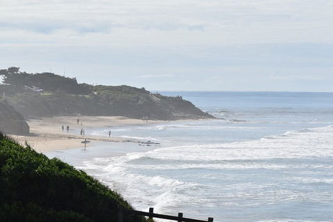 Great Ocean Road Tour Plus Koalas, Forest Walk And Morning Tea. - Tourism Canberra 10