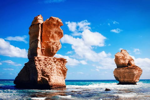 Great Ocean Road Tour Plus Koalas, Forest Walk And Morning Tea. - Tourism Canberra 11