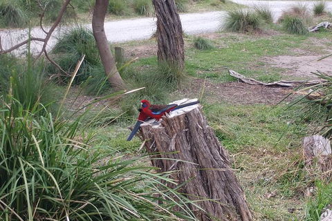 Wilsons Promontory Brainstorming Escape - Tourism Canberra 5