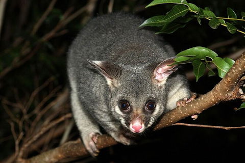 Wilsons Promontory Brainstorming Escape - Tourism Canberra 3