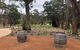 Yarra Valley: 7 Hours Guided Wine Tour With 2-Course Lunch - thumb 1