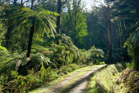 Aqueduct And Rail Trail Self-Guided Bike Tour In Warburton - Tourism Canberra 3
