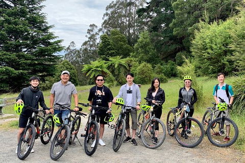 Aqueduct And Rail Trail Self-Guided Bike Tour In Warburton - Tourism Canberra 0
