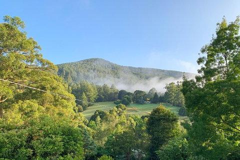 Hiking Tour To Aqueduct And Warburton Valley Lookout - Tourism Canberra 0