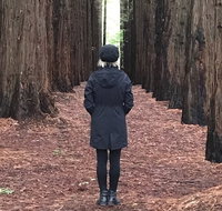 Half-Day Biking Activity from Aqueduct to California Redwoods - Tourism Canberra