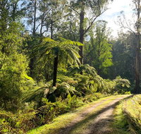 Private Aqueduct to California Redwoods Hiking Tour - Tourism Canberra