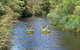 Watertube Experience In Yarra River - thumb 0