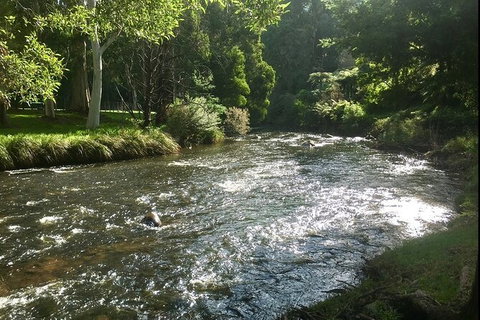 Watertube Experience In Yarra River - Tourism Canberra 3
