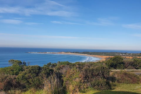 Private Great Ocean Road And Chocolaterie Tour With Tasting - Tourism Canberra 5
