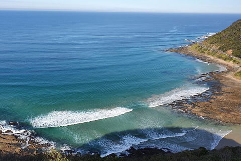 Private Great Ocean Road And Chocolaterie Tour With Tasting - Tourism Canberra 7