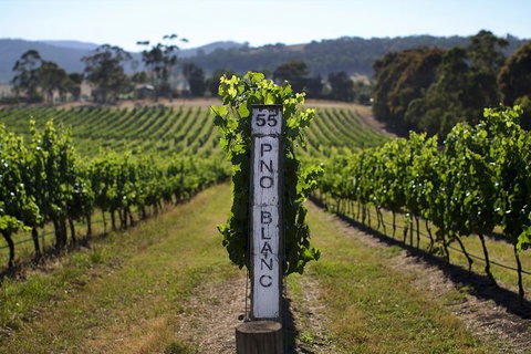 Mornington Peninsula 2-6 Guests Lunch Rare Hare Or Merricks General Wine Store - Tourism Canberra 5