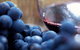 Mornington Peninsula 2-6 Guests Lunch At Merricks General Wine Store Or RareHare - thumb 8