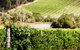 Mornington Peninsula 2-6 Guests With Lunch And Art Walk At Pt Leo Estate - thumb 5
