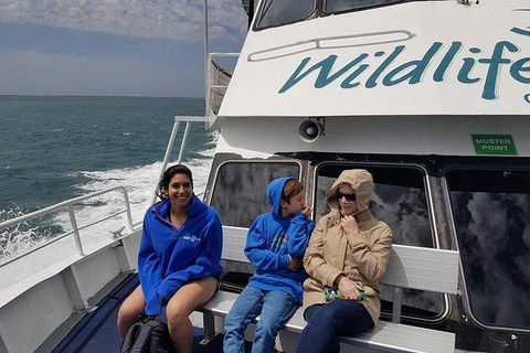 Phillip Island Penguin And Wildlife Tour - Tourism Canberra 15