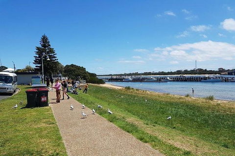 Phillip Island Penguin And Wildlife Tour - Tourism Canberra 25
