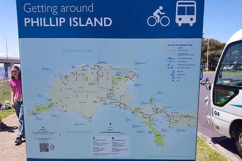 Phillip Island Penguin And Wildlife Tour - Tourism Canberra 28