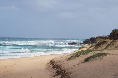 Phillip Island Penguin And Wildlife Tour - Tourism Canberra 10