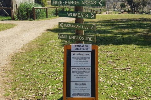 Phillip Island Penguin And Wildlife Tour - Tourism Canberra 4