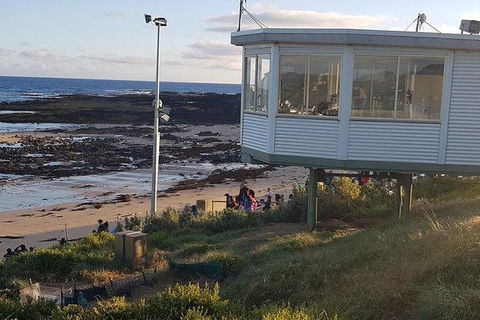 Phillip Island Penguin And Wildlife Tour - Tourism Canberra 33