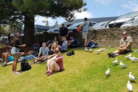 Phillip Island Penguin And Wildlife Tour - Tourism Canberra 22